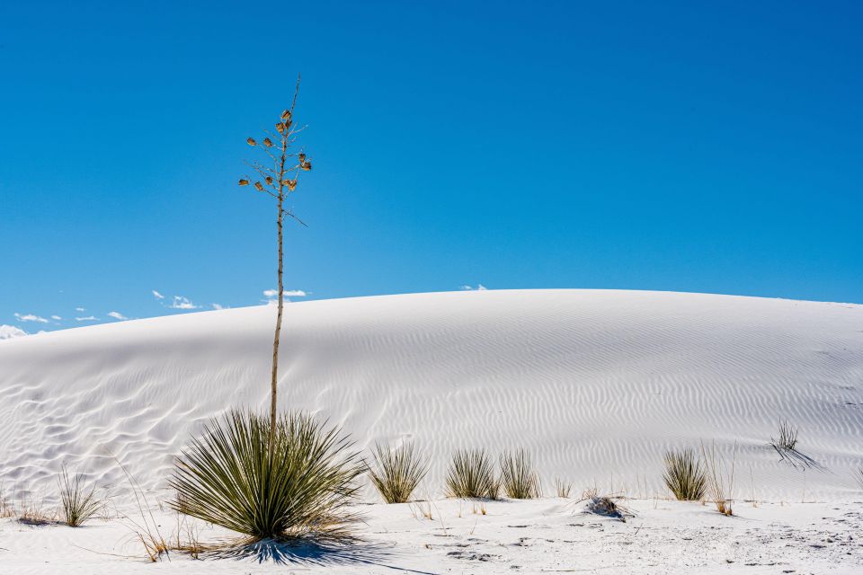 White Sands National Park: Audio Tour Guide - Audio Tour Features