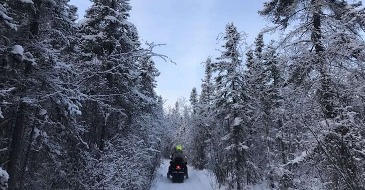 Yellowknife: Backcountry Snowmobile Tour With Winter Gear - Important Information