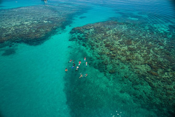 2-Day Great Barrier Reef Combo: Green Island Sailing and Outer Reef Snorkel Cruise - What to Expect Onboard