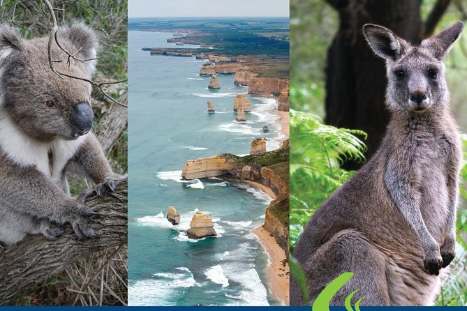 2 Day Great Ocean Road Tour From Melbourne - Essential Tour Information