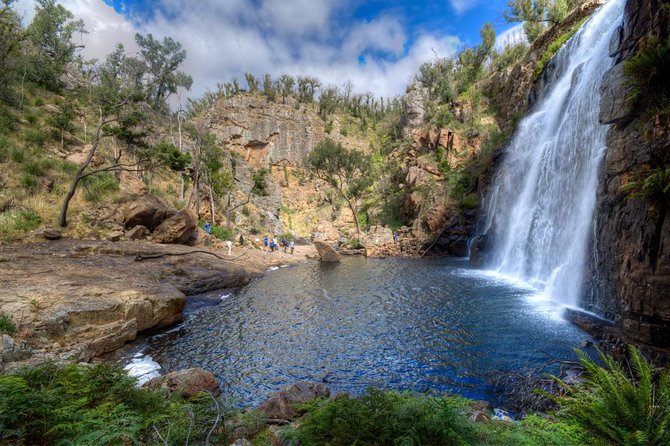 2-Day Melbourne to Adelaide Tour: Great Ocean Road and Grampians One Way Trip - Wildlife and National Parks