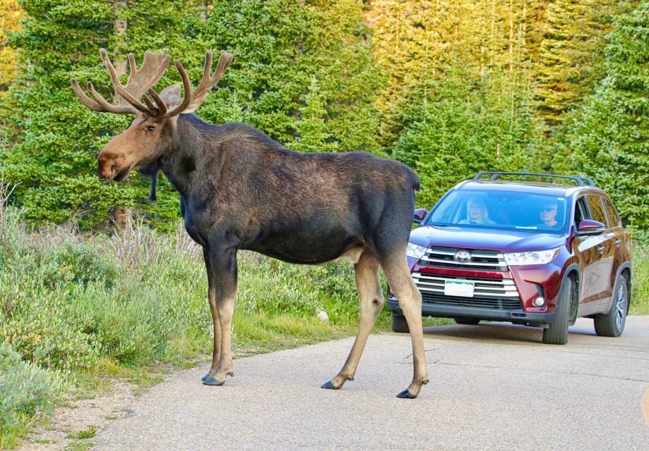 3/4 Day RMNP Mtn to SkyBear Lake Rd Tour-RMNPhotographer - Inclusions