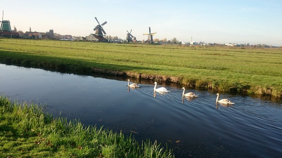 4-Hour Tour of the Windmills of Zaanse Schans - Visitor Feedback