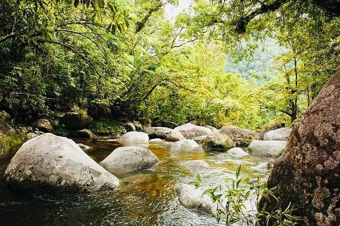 Affordable Return Mossman Gorge From Port Douglas Transfers - Why Choose This Transfer