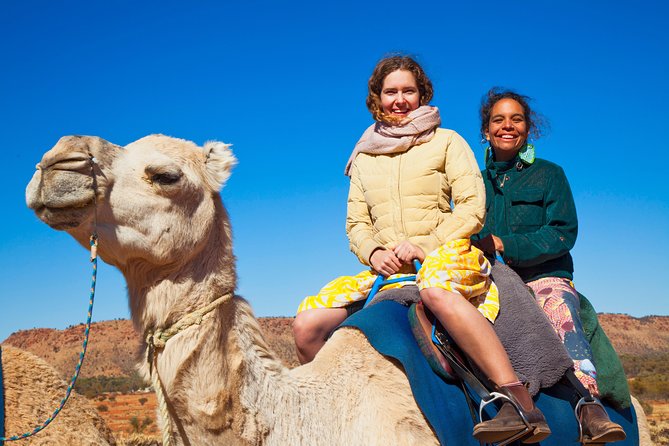 Alice Springs Camel Tour - Reviews From Past Travelers