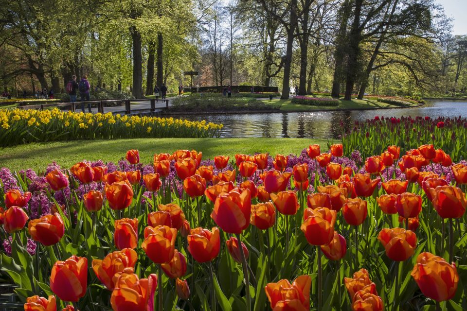 Amsterdam: Tour to Keukenhof Gardens With Windmill Cruise - Customer Reviews