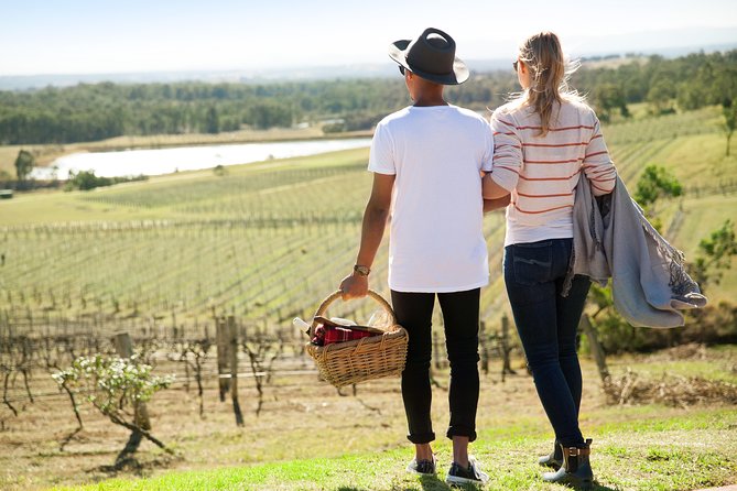 Audrey Wilkinson Vineyard: Picnic With Wine Masterclass Tasting - Enjoying the Vineyard Views