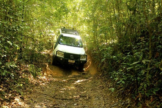 Barron Gorge and Kuranda National Park Half Day Rainforest and Waterfall 4WD Tour From Cairns - Pickup Points and Times