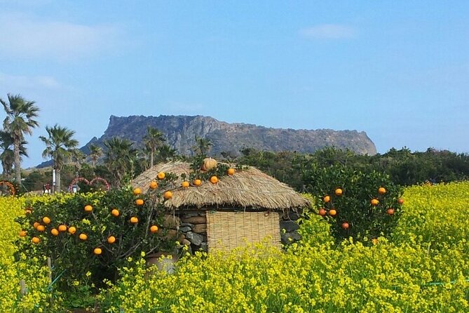 Beautiful Jeju Island Private UNESCO Day Tour - Important Notes and Cancellation Policy