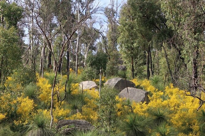 Bibbulmun Track Multi-Day Hike and Camp to the Darling Range - Booking and Cancellation