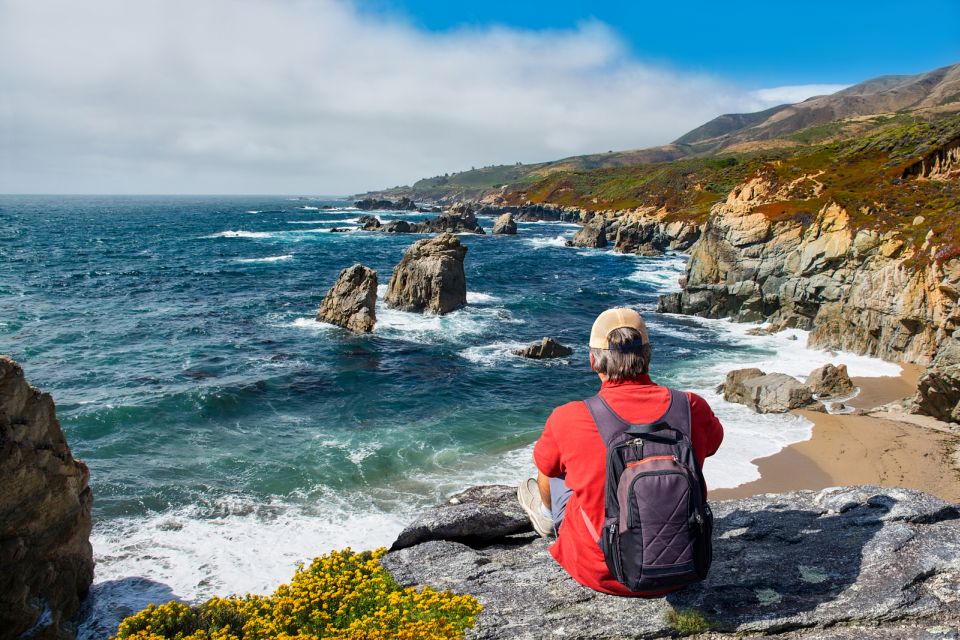 Big Sur: Sightseeing Tour With 4 to 5 Stops - Customer Reviews