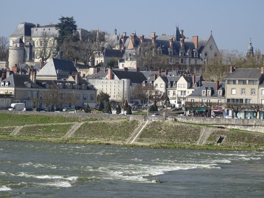 Blois: Private Tour of Blois Castle With Entry Tickets - Customer Reviews