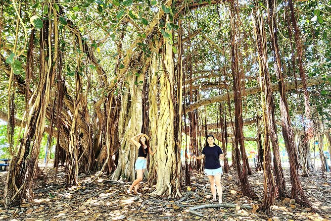 Bowen Beaches Discovery-Top of the Whitsundays - What to Expect on Tour