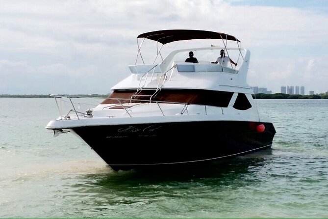 Brown Yacht 48ft Rental in Cancun for up to 15 People - Common questions