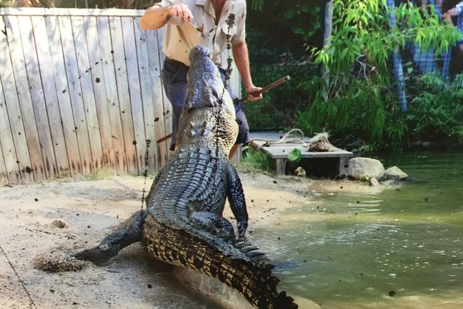 Cairns City Tour - What to Expect on the Tour