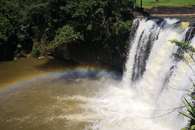 Cairns Paronella Park Herberton and Wild Life Tour - Planning Your Day Trip