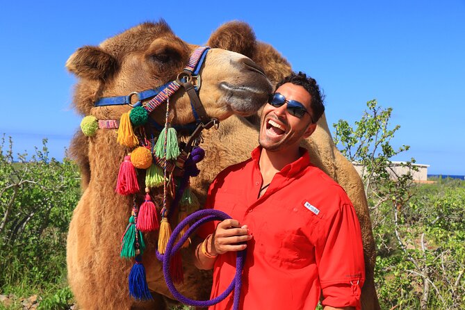 Camel Ride and UTV Combo Adventure, With Tequila Tasting - Common questions