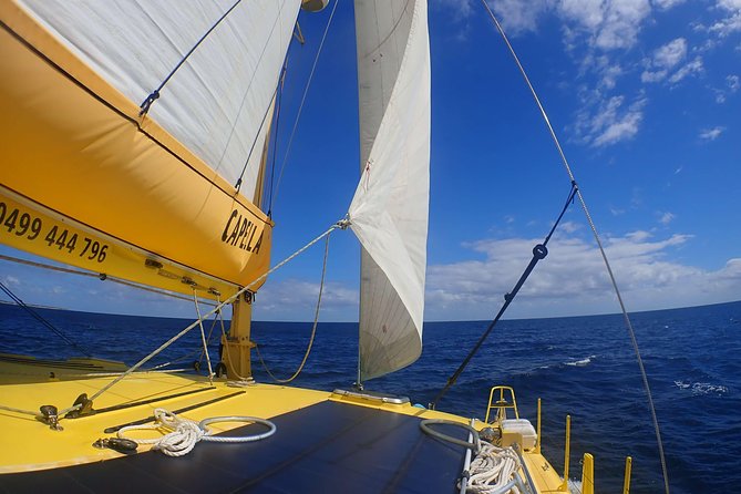 Carnac Island Half Day Sail - Snorkeling and Water Activities