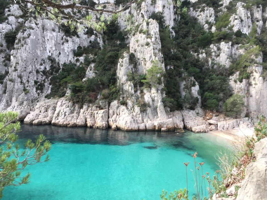 Cassis: Calanques and Viewpoints Tour by Mountain E-Bike - Essential Information and Tips