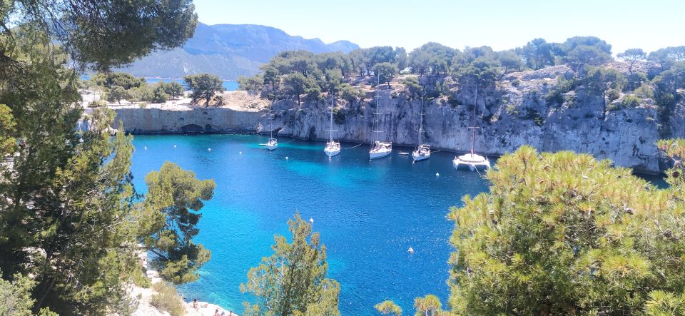 Cassis: Calanques National Park Guided Hiking Half-Day Trip - What to Expect on the Tour