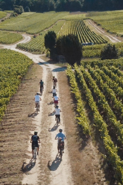 Champagne Region : Ebike Tour With a Local Guide ! - Important Information for Participants