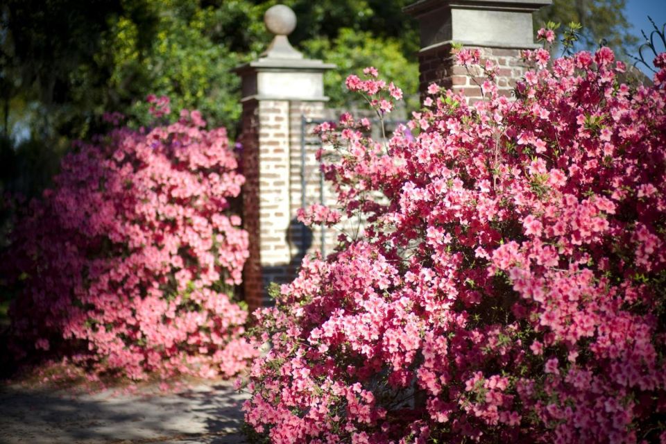 Charleston: Boone Hall & Historic City Tour Combo - What to Bring and Not Allowed