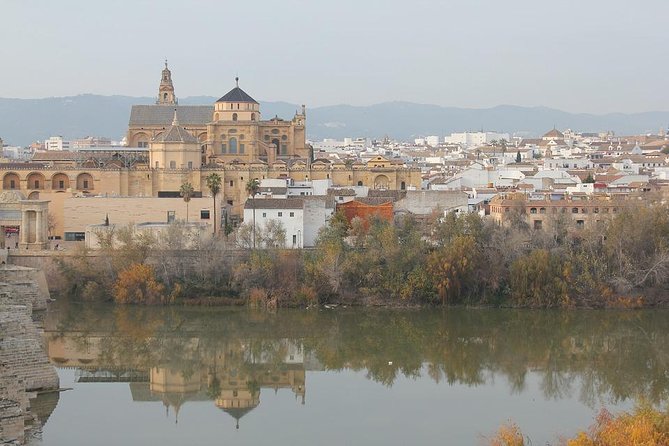 Cordoba & Carmona With Mezquita, Synagoge & Patios From Seville - Highlights of Cordoba