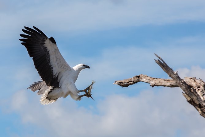 Corroboree Billabong Wetland Cruises - 1.5 Hour Morning Cruise - Cancellation and Refund Policy