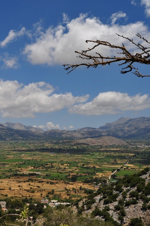 Crete: Lasithi Plateau and Knossos Palace Day Tour - Places to Visit