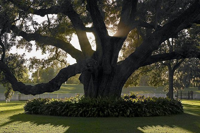 Destrehan Plantation Tour - Booking Details