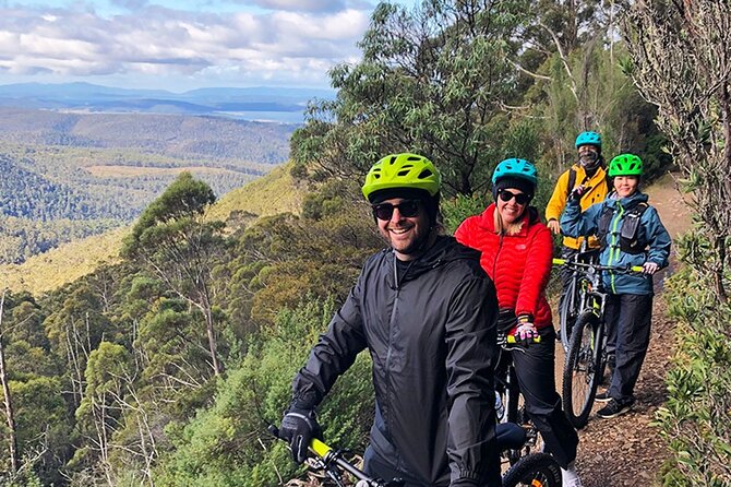 Easy Bike Tour - Mt Wellington Summit Descent & Rainforest Ride - Expert Guides and Safety