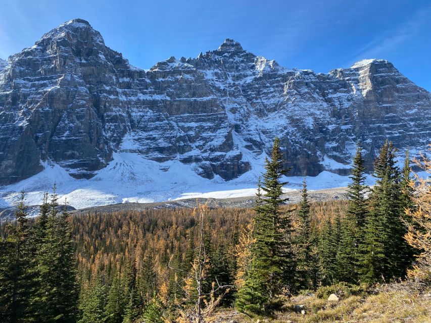 From Banff or Lake Louise: Moraine Lake & Larch Valley Hike - Highlights