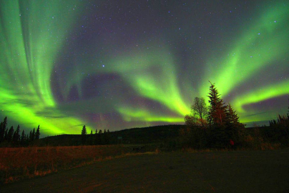 From Fairbanks: Northern Lights & Murphy Dome Tour - Pricing Details
