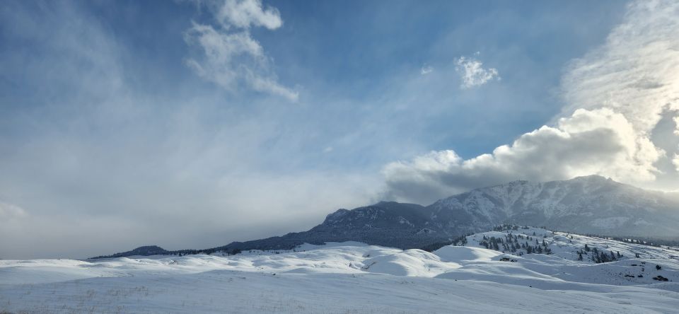 From Gardiner: Guided Yellowstone Cross-Country Skiing Tour - Wildlife Spotting