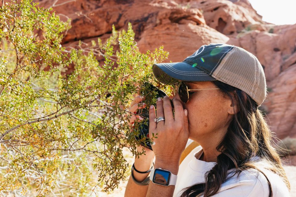From Las Vegas: Explore the Valley of Fire on a Guided Hike - Directions for Booking