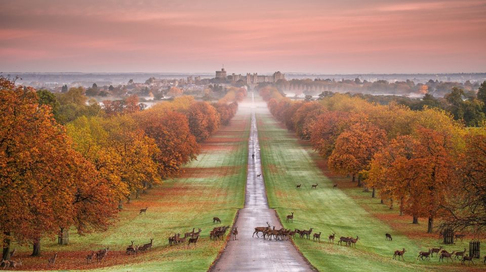 From London: Stonehenge, Windsor and Salisbury Guided Tour - Customer Experiences