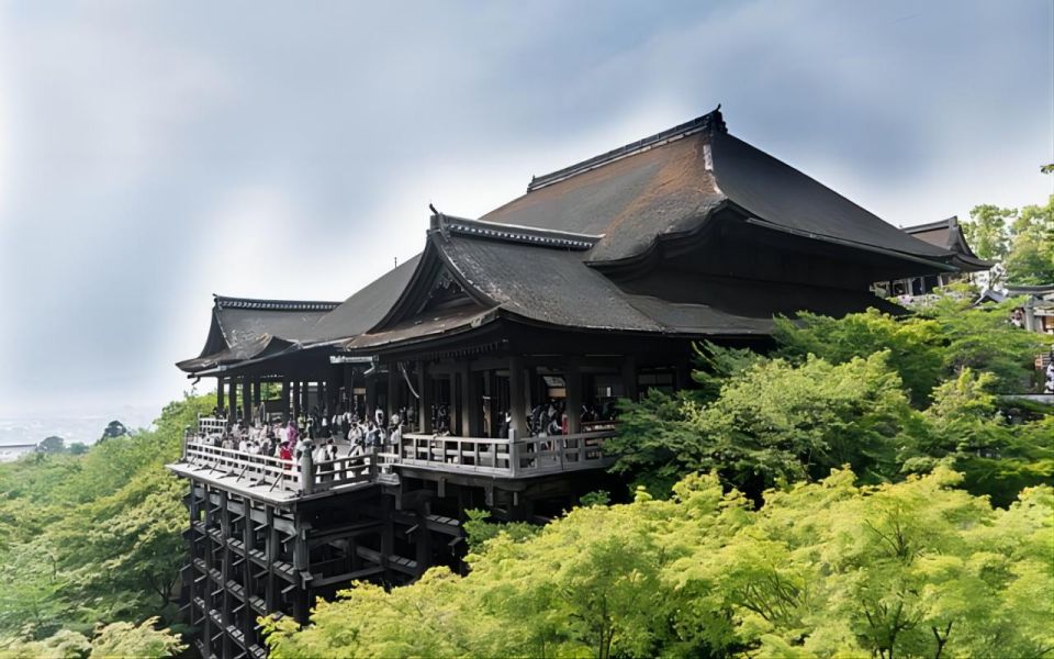 From Osaka: 10-hour Private Custom Tour to Kyoto - Additional Information