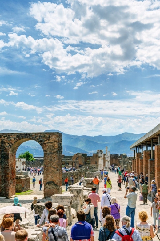 From Rome: Pompeii & Naples Private Full-Day Tour - Important Information