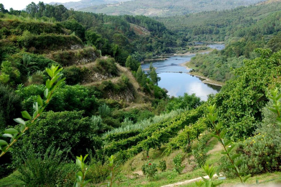 Gerês National Park Full Day Tour - Important Information