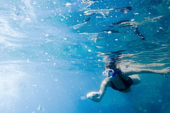 Glass-Bottom Boat Ride and Snorkel Tour in Cabo San Lucas - Directions