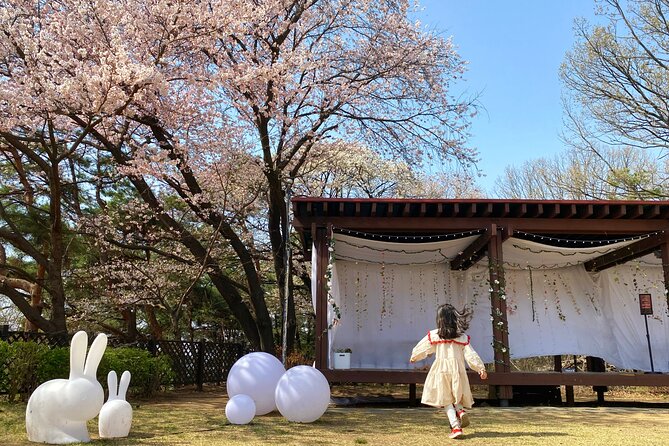 Halal-Nami Island & Central Mosque & Petite France & RailBike - Riding the Rails With Railbike