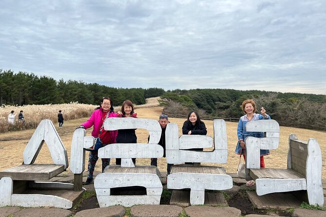 Jeju Island Private Package DAY Tour - South of Jeju - Pricing and Group Size Options