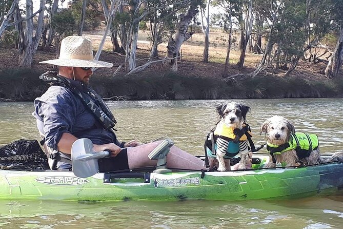 Kayak Self-Guided Tour on the Campaspe River Elmore, 30 Minutes From Bendigo - Tour Reviews and Ratings