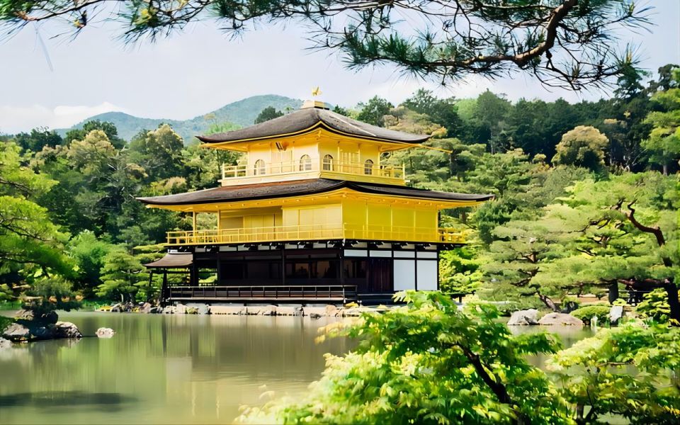 Kyoto: Customizable Private Tour With Hotel Transfers - Logistics