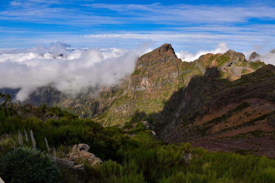 Madeira: Full-Day Private North Coast Tour - Tour Experience