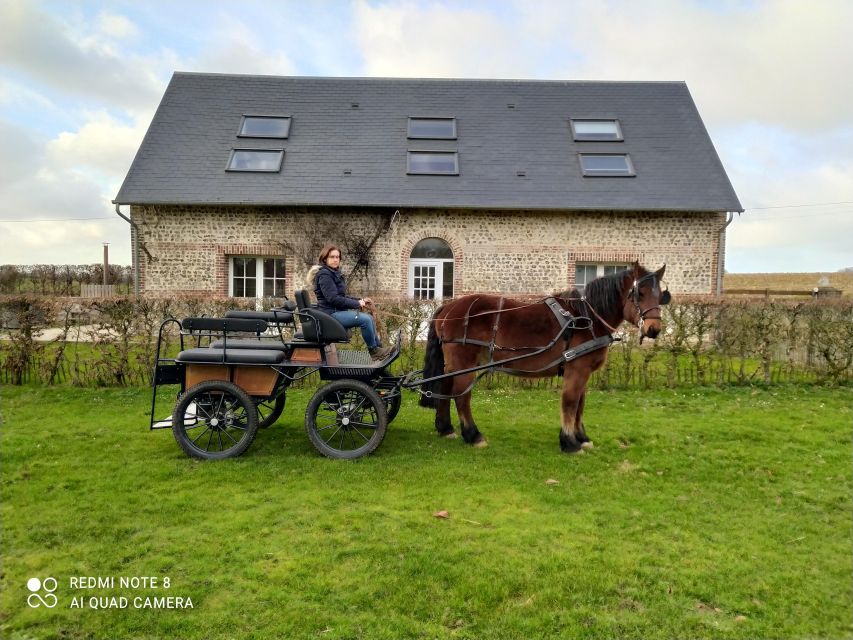 MENTHEVILLE : Horse-Drawn Carriage Ride in the Countryside - Preparing for the Adventure