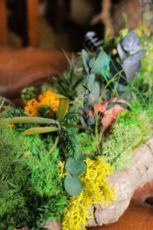 Moss and Foliage Arrangement Workshop - Common questions