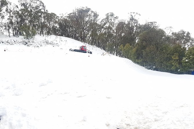 Mt Buller Day Trip From Melbourne - Meeting and Departure Details