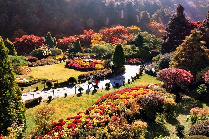 Nami Island & Garden of Morning Calm & Gangchon Railbike Tour - Tour Schedule and Meeting Point