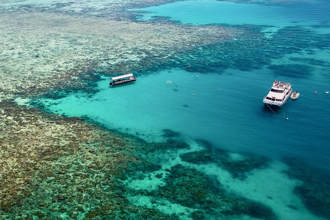 Ocean Freedom Great Barrier Reef Luxury Snorkel and Dive Cruise - Whats Included in the Tour